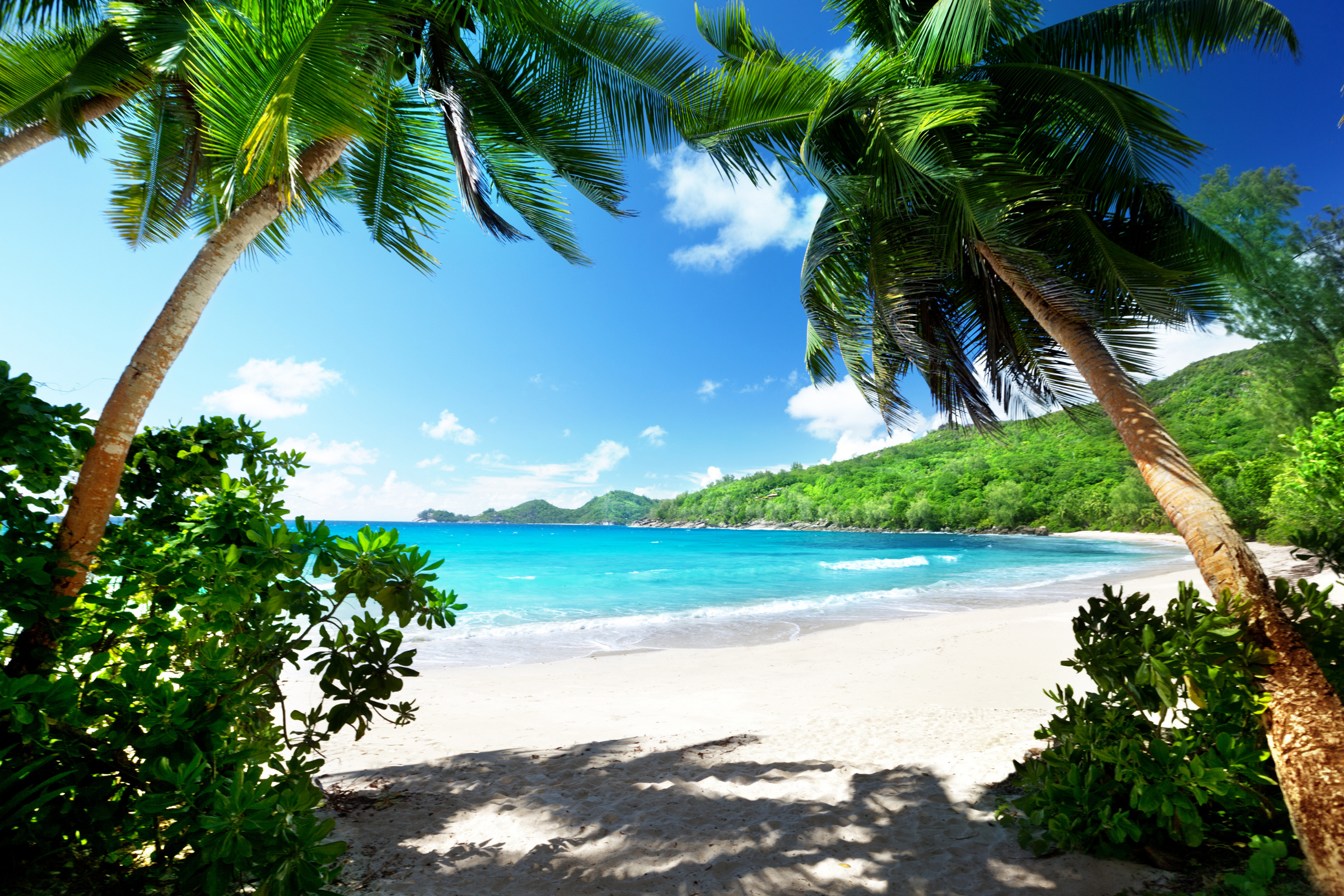 assumption island (4).webp